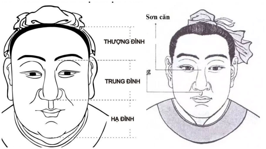 Những người đàn ông có những nét tướng mạo này sẽ mang tới sự giàu có